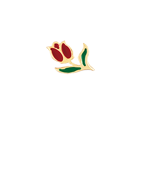 LINK TULIPANO ROSSO